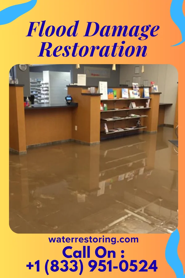 Flood Damage Restoration in Eddyville, IL