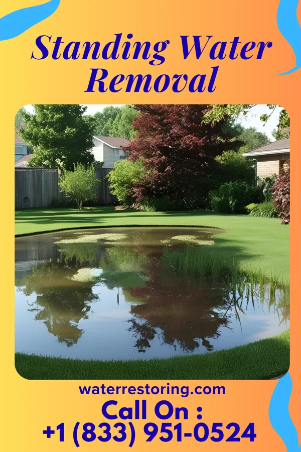 Standing Water Removal in Eddyville, IL